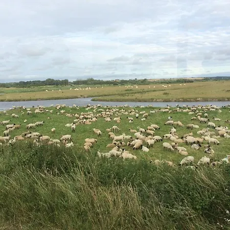 Les Obiones