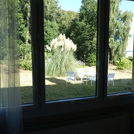 Les Obiones Daire